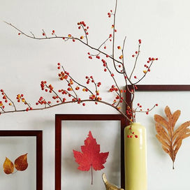 Easy DIY Home Decor for Autumn! article image