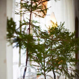 5 Favorites: No-Cost Holiday Decor Ideas article image