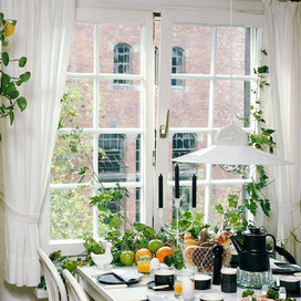5 Simple Ways to Bring the Outdoors Inside article image
