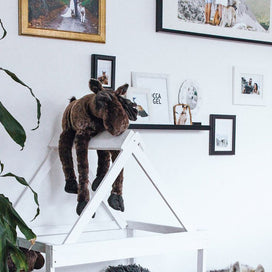 9 Chic Ways to Create a Spot for Your Pet article image