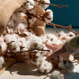 Why Barn & Willow is Now Offering Organic Cotton Options! article image